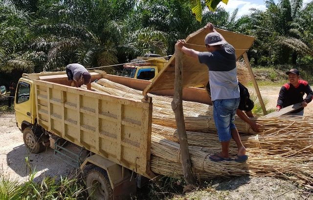 643 gagalkan rotan1